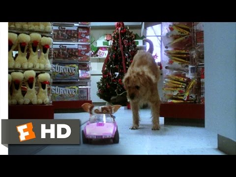 Gremlins (6/6) Movie CLIP - Gizmo to the Rescue (1984) HD