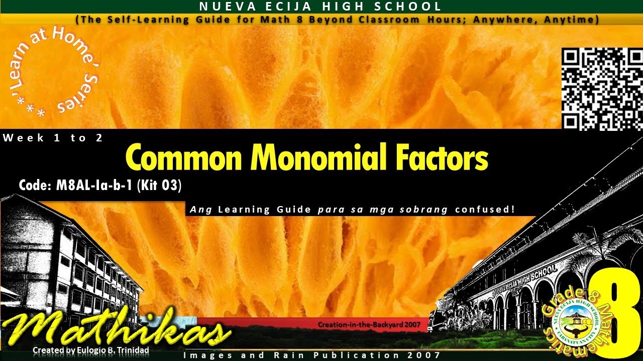 Common Monomial Factor Case III