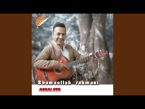 امشو نگام تر مایه