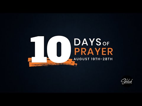 Day 2 of