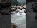 Relaxing Calm White Noise + Forest Stream | Sleep, Study, Relax
