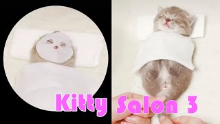 【Latest Edition】 Kitty Salon 3  Super cute kitten baby cat having SPA treatment | She is an angel