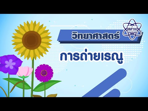 การถ่ายเรณู