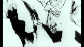 Boston Strangler - the true story