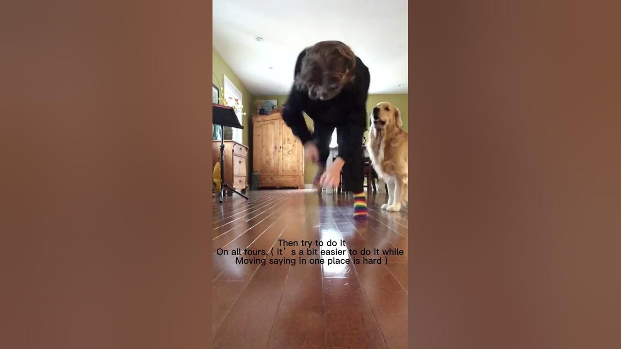 QUADROBICS TUTORIAL quadrobics therian tutorial therianthropy