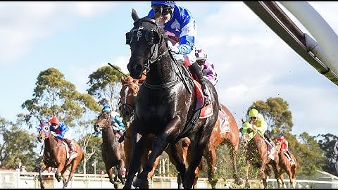 【MOE】AUSTRALIAN HORSE RACE ANALYSIS - CHECK OUT ONE OF THE BEST ☆☆☆ TOO!!