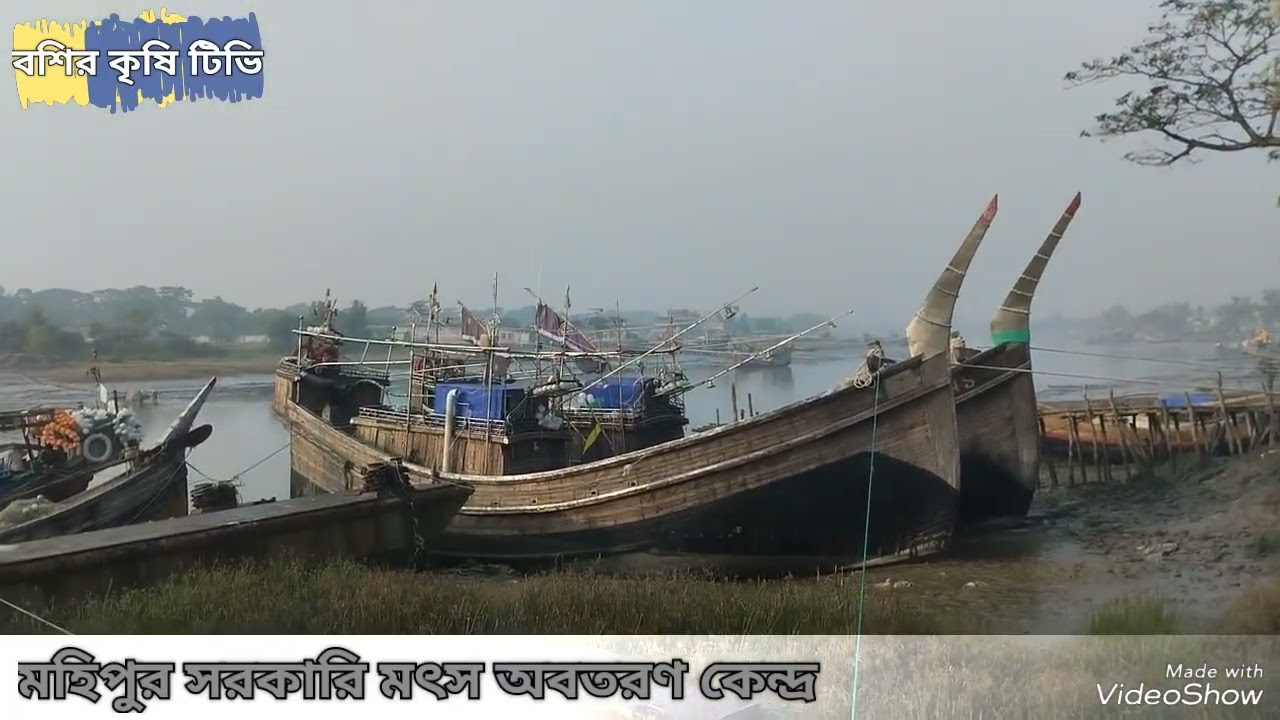 মহিপুর মৎস বন্দরের উপর বশির কৃষি টিভির প্রতিবেদন