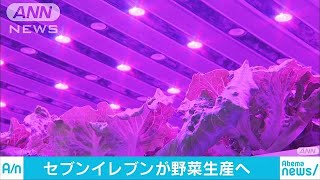 LEDでビタミンCも約8倍に・・・セブンが野菜工場を公開(18/11/28)
