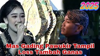 Mas Gading Pawukir Tampil Loss Tambah Ganas