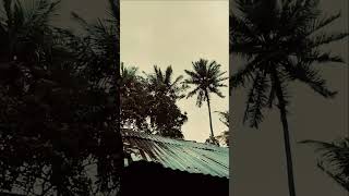 Incessant Rain And Wind