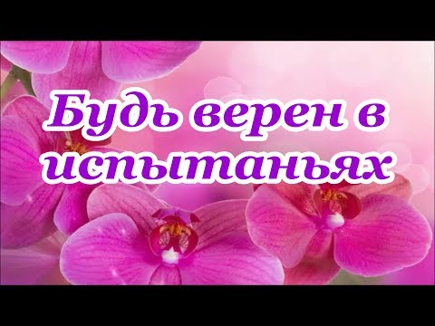 ФОНОГРАММА Будь верен в испытаньях