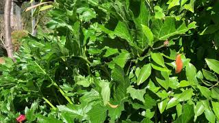 1 Railway Crescent, Mittagong NSW 2575