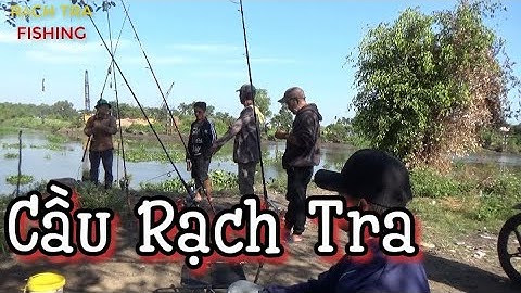 TỤ TẬP CÂU CÁ CẦU RẠCH TRA NGÀY CHỦ NHẬT: TÂM SỰ VỚI ÔNG BẢY BANG CHỦ BẮT TRÊ TO