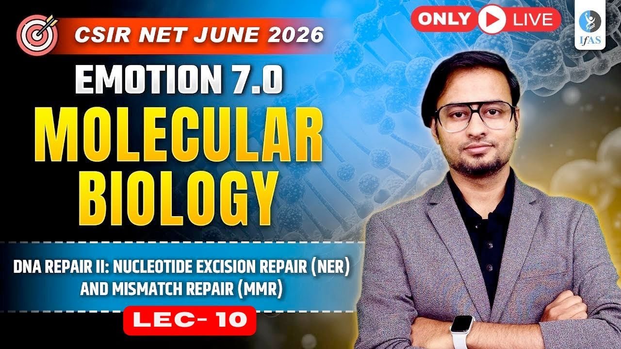DNA Repair II: Nucleotide Excision Repair (NER) & Mismatch Repair (MMR) | Molecular Biology Series