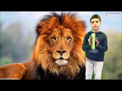 Poemario de 2&ordm;B. CEIP Sof&iacute;a Casanova. (Vilaboa - Culleredo)