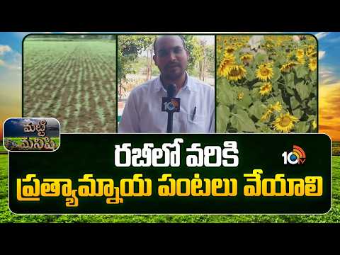 Alternative Crops For Paddy In Rabi Season | రబీలో వరికి ప్రత్యామ్నాయ పంటలు వేయాలి | Matti Manishi - 10TVNEWSTELUGU