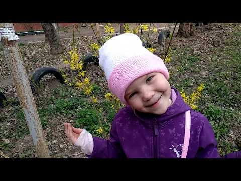 Двухсторонняя шапка с отворотом, вязание спицами