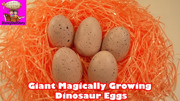GIANT Magically Growing Dinosaur Eggs Toy Opening Series