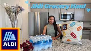 Spend $100 with me! Aldi Grocery Haul | Essentials