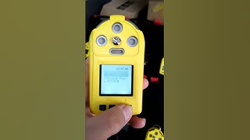 Portable multi gas detector