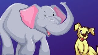 #Elephant Song- Dog Song