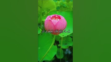 قرآن كريم القارئ عبدالله الموسى من سورة (النمل)