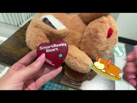 Featured image for the guide to I JUST Got These 6 AMAZING Amazon Finds For My New Puppy by Another Package