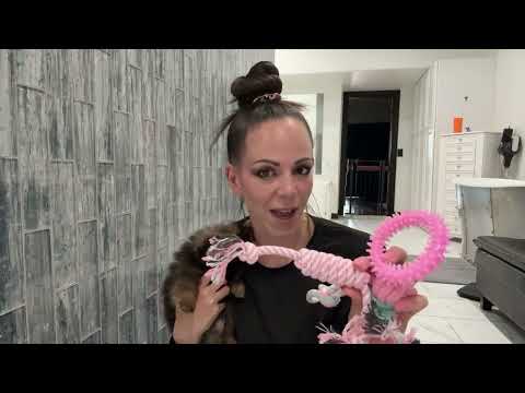 A still from the video I JUST Got These 6 AMAZING Amazon Finds For My New Puppy by Another Package