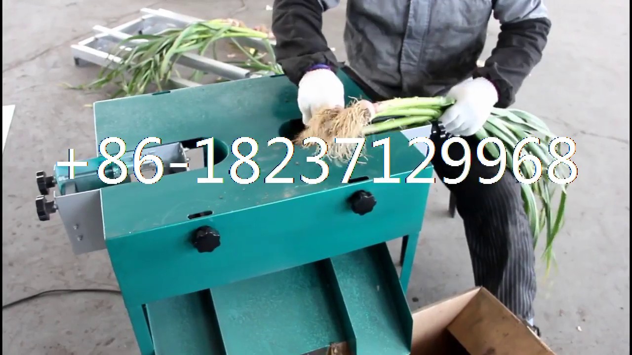 fresh garlic stem and root cutter garlic root stem cutting machine