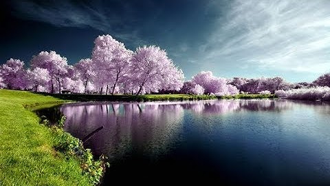 Quran استمع إلي اجمل تلاوة خاشعة تجلى فيها الإبداع