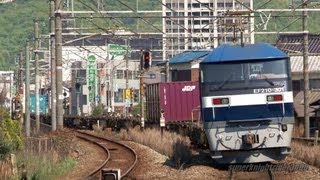 JR貨物 EF66 118号機+後補機EF210-301号機 貨物列車5056レ 海田市駅通過① 2013.4
