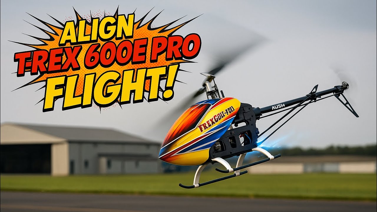 ALIGN T-REX600E DFC PRO ヘリコプター中古セット ALIGN T-REX600E DFC PRO ヘリコプター中古セット 【公式通販】