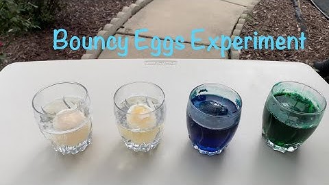 How To Make Bouncy Eggs | Bouncy Egg Cool Science Experiment | Kids Science | STEM Project | DIY