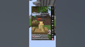 Day 177 Of Placing One Block For EVERY Follower