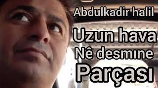 Halil Hava Ê Desmıne Parçası 👍🌹🎶🎼♥️🪕🙏