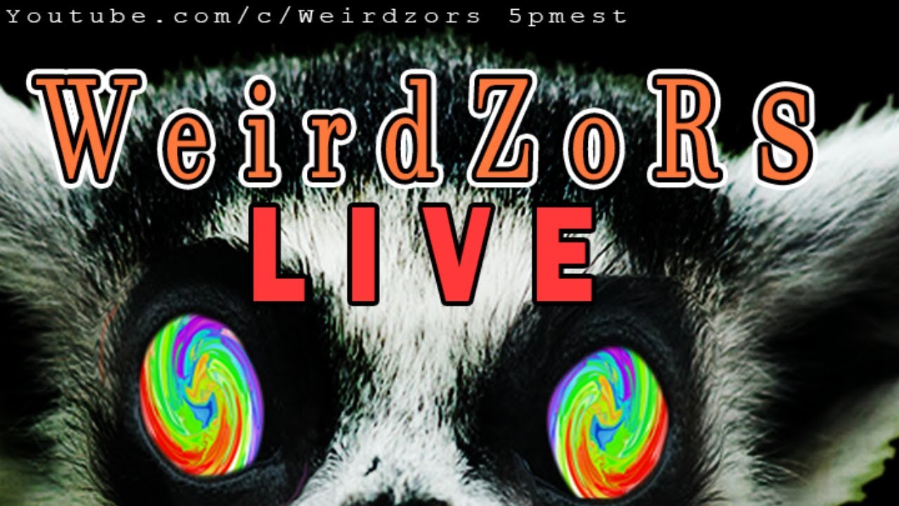 Regulating Social Media CraftyAndy Streams