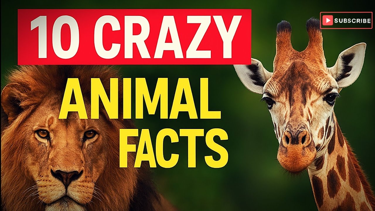 10 Crazy Animal Facts You Won’t Believe | Amazing Animal Facts in Hindi ...