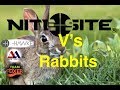 Air Arms + Daystate + NiteSite V's Rabbits
