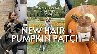 Weekend Fun! Pumpkin Patch, Dyeing my Hair Again, & Getting Ready for Tulum!