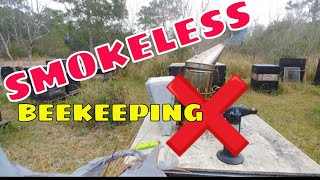 ☯️ WHY I DON"T SMOKE - Smokeless Beekeeping