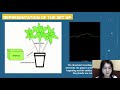 Mimosa pudica as a plant-based sensor for spinal cord stimulator | NY Sun Works Youth Conference