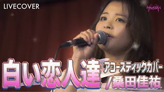 『白い恋人達』桑田佳祐 女性ボーカル アコースティックカバー