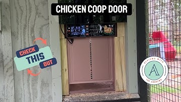 Must-Have Automatic Chicken Coop Door with Timer & Solar Panel | Gives Convenience & Peace of Mind