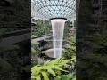 Singapore Changi Airport 😍 #singapore #singaporeairport #traveldestinations #traveldestination #ugc