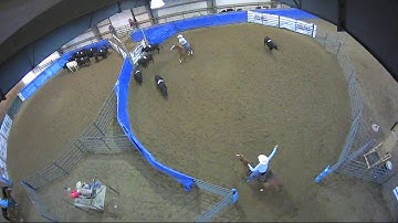 Big Sky Ranch Sorting Saddle Series #4 - #7 SORT - Round #1 - Ride #4