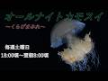 オールナイトカモスイ ~くらげまみれ~ #243 エチゼンクラゲ