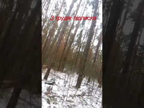 16 лютого 2023 р.