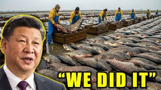 Everybody Laughed At America’s Catfish Crisis… Until CHINA Did This