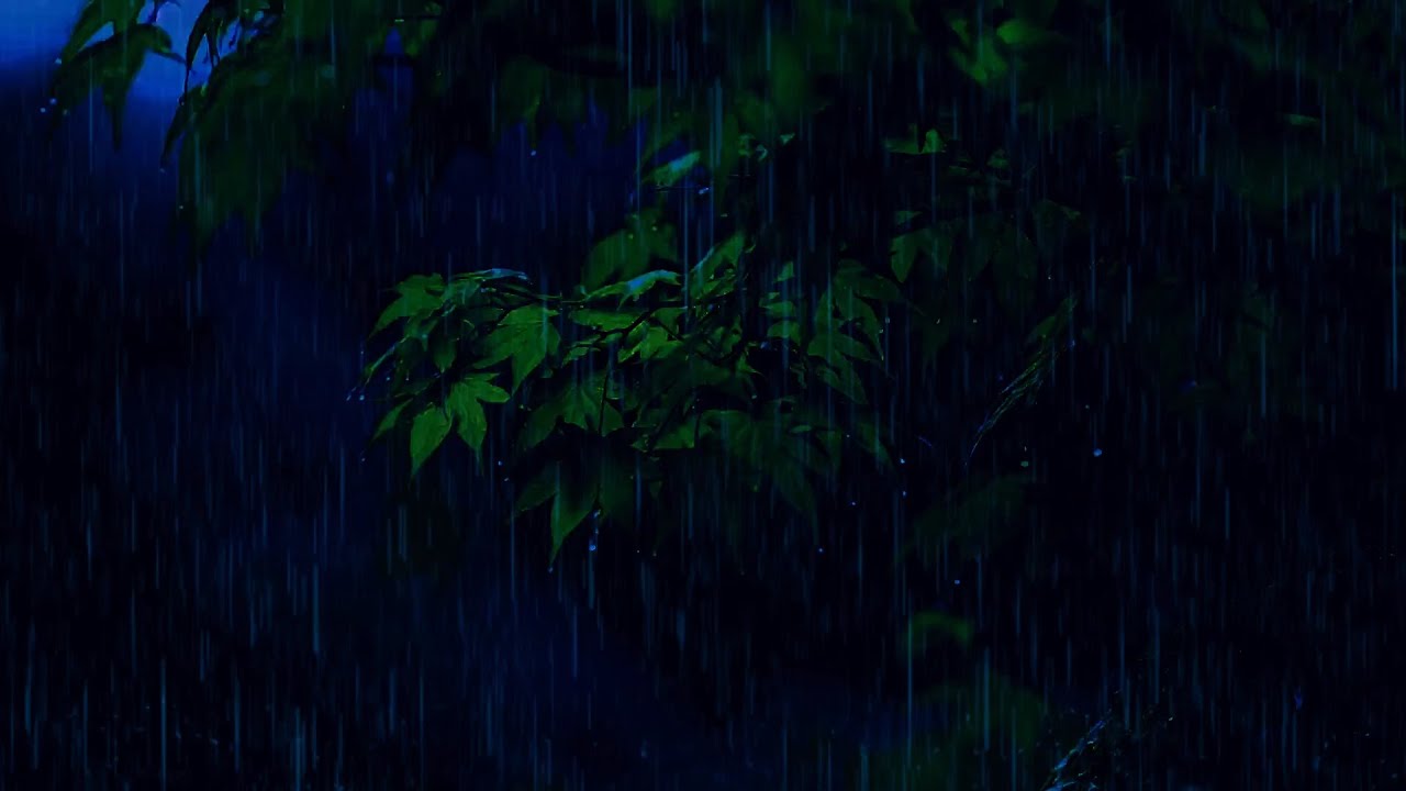 Мягкий дождь на листьях избавит от бессонницы, звуки дождя помогут быстро заснуть