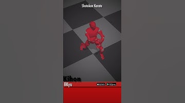 Kihon (8th-kyu) Shotokan Karate